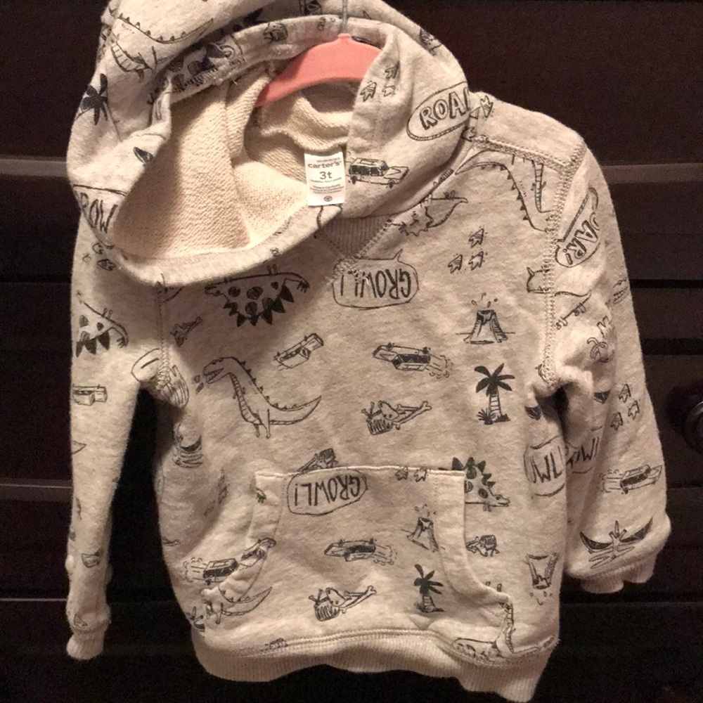 Grey dinosaur hooded sweatshirt